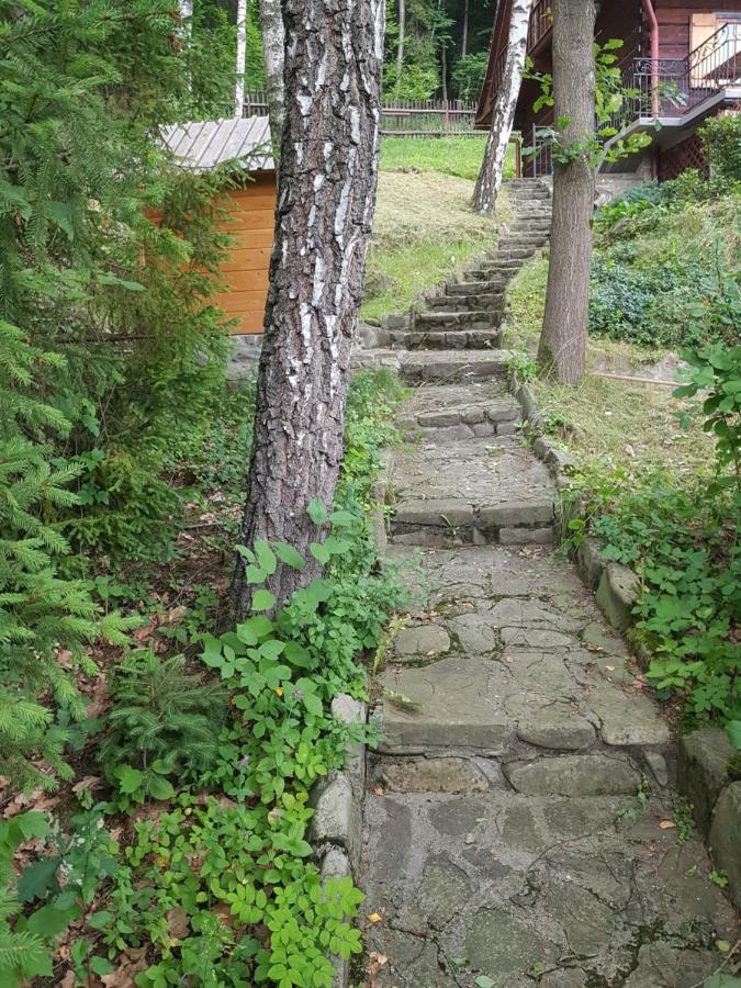 Gniewnik Villa Pcim ภายนอก รูปภาพ